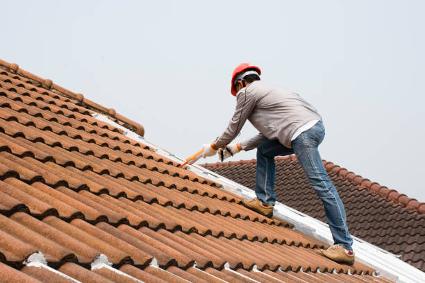 Best Skylight Installation and Repair  in Williston Highlands, FL
