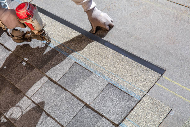 Best Rubber Roofing (EPDM, TPO)  in Williston Highlands, FL